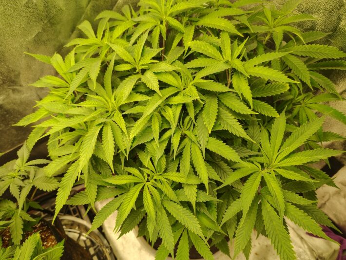 9e19fb99-8b64-48ea-a305-ac5360bd7f71