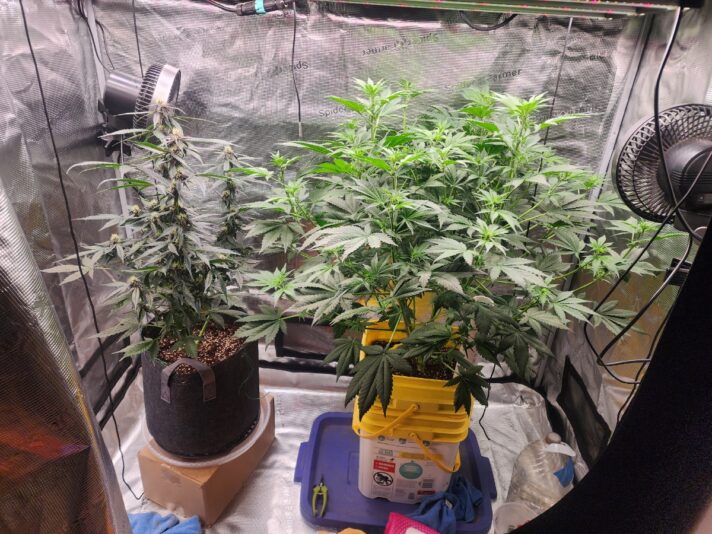 1023b7b1-2917-4755-90fe-720939efc00f