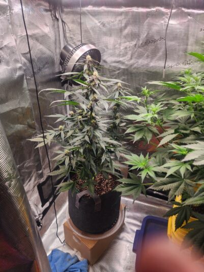 34ceaf5a-7ef4-4ad5-b01f-114844e7bc7c