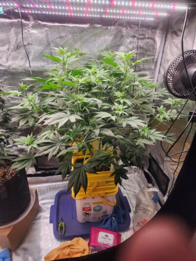 8a96e64d-ba8a-4866-b4de-ef167c38731e