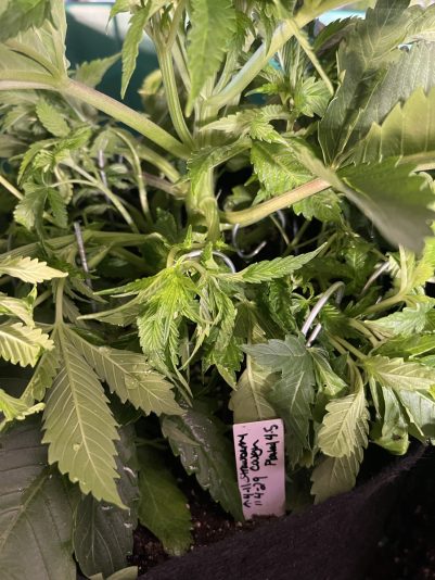 170E692A-3D10-44CA-83FC-85C3369237A2