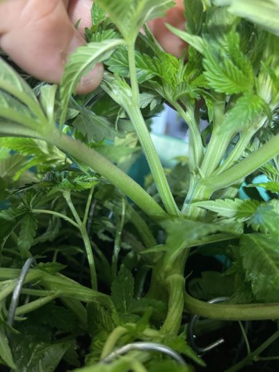 734CC487-90AB-496F-9F9A-E07BE7B3ABFF