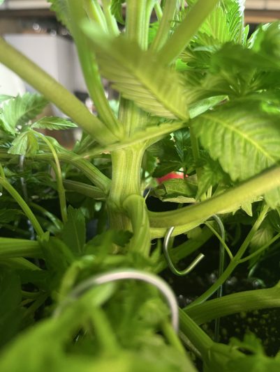 92513745-5F34-49E2-81C5-0B5D05C8C4C4