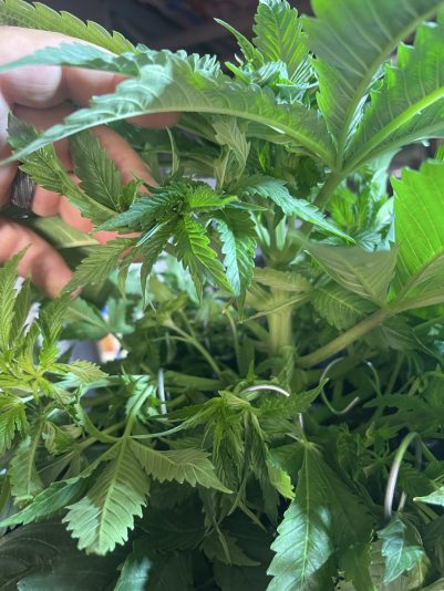 9861FCAC-6463-458A-B378-CFA75DF5D879