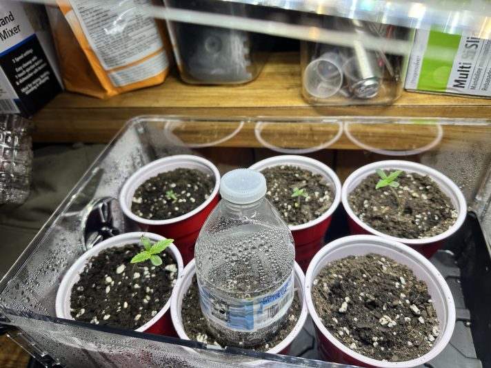 114F8DE3-A8AE-4613-8C79-512D079BAC8B