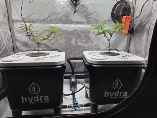 9f336496-2eab-46bf-94ab-fe42d1d6402a