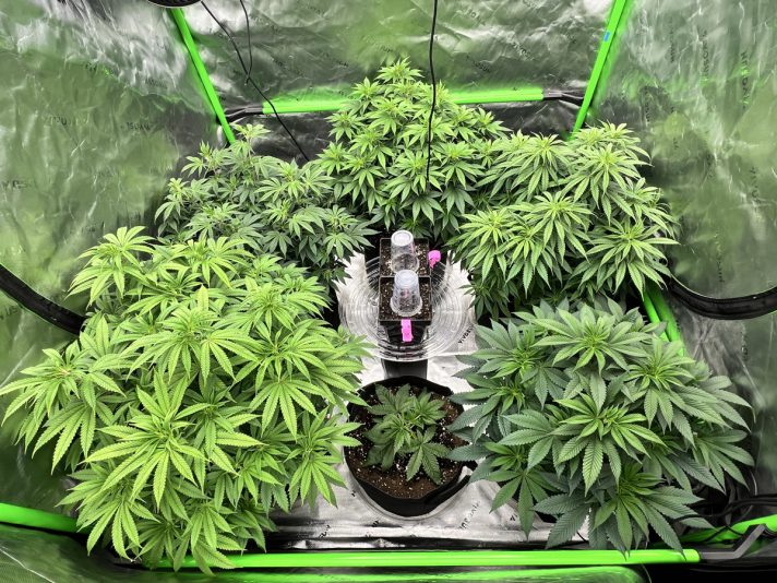 BB7F6445-2390-4D4C-83E8-DF474AAC49E7