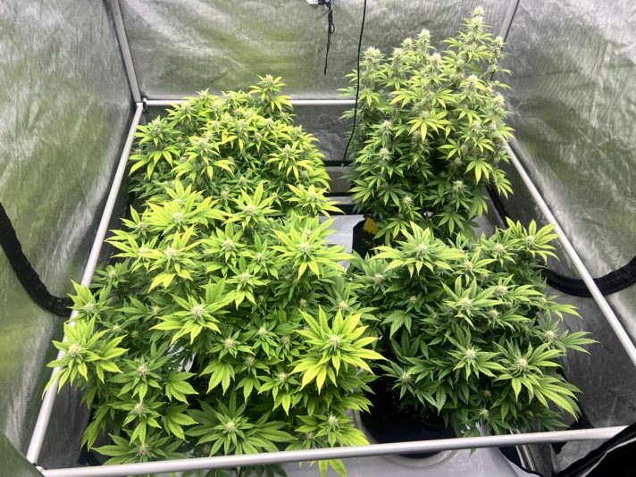 14971A92-906B-41CA-8FD1-88EFEC24126D