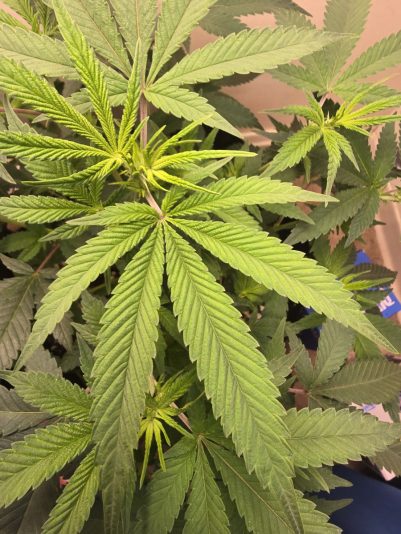 cb92373b-4c81-479d-8db4-eabd92fe00fd