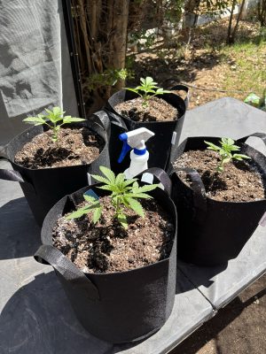 5C000D1A-8DC0-4A22-8290-E19A06D26028