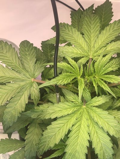 23383833-DA97-4564-B921-70CA2C8D252E