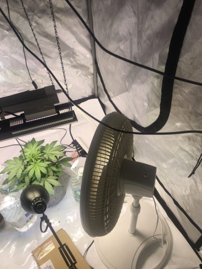 FE7248A1-4155-4101-8087-04F54CD603ED