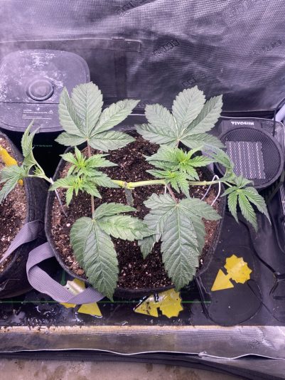 CB48029E-41EA-46F4-AEB0-23A019270C01