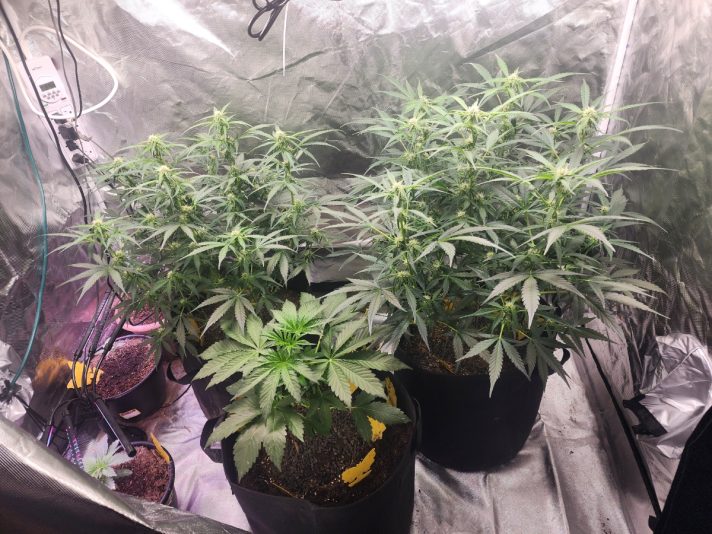 99940e5b-d8bd-45f3-8885-9b57187593cc