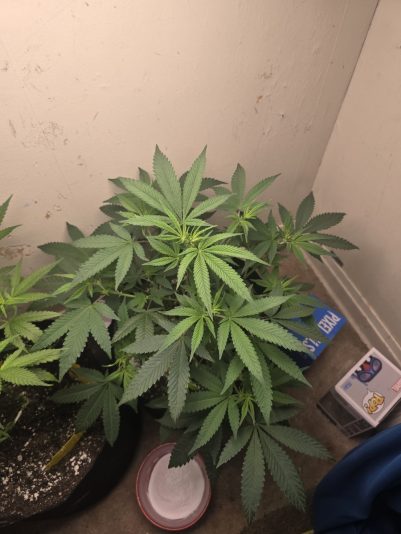 f3b94a67-46ca-415c-a942-709d5fd528c2