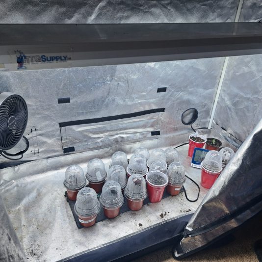 46c799fa-e37a-4f8b-aefa-9ec8cebf06b7