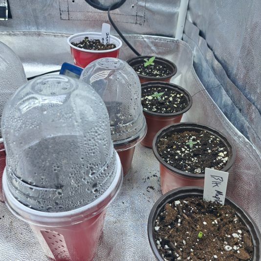 13107465-2411-442a-8dd4-701e28023601