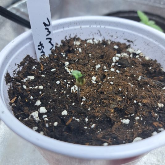 4d512e2c-0544-46f4-9123-c2ad9179b8cf