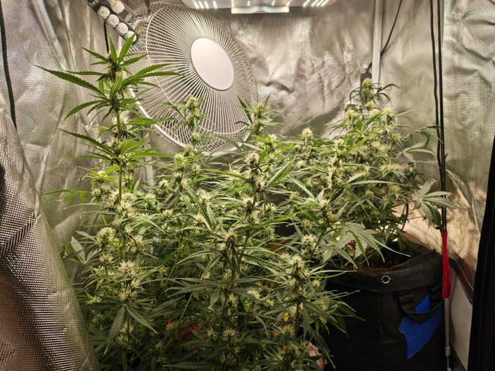 3d96afb0-09ce-42f6-88fd-fa8810af08b8