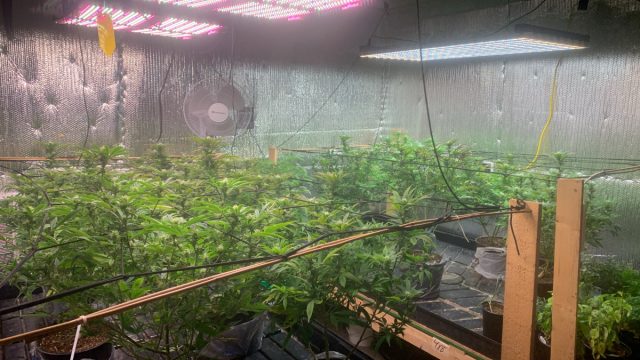 AF299292-904D-4B0D-8205-AC0550DA5DE2