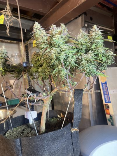 8E0301ED-9A65-4215-81D6-B85C921C0173