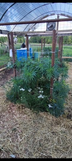 3735d548-fb8f-4642-b31e-dc570bcd0ea8