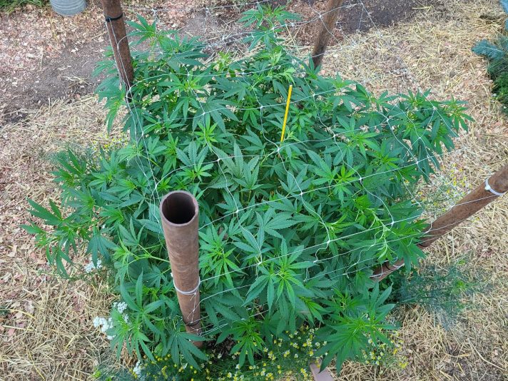 0c6b3fb6-ed19-4fd2-bbaf-92e8ab07acd8