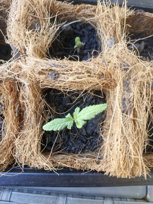 70b8fcae-05d0-490a-aed9-81f7f8398d54