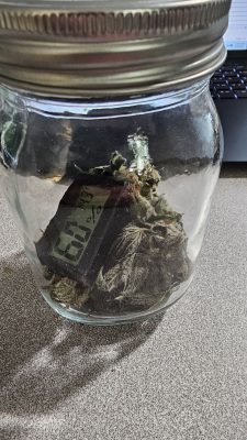 42bbd698-f7a6-44b0-b8c6-796ac40b2bb9