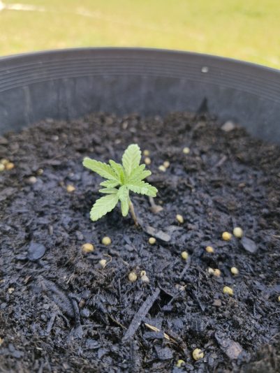 21100d44-785a-4a95-93da-2f2646770972