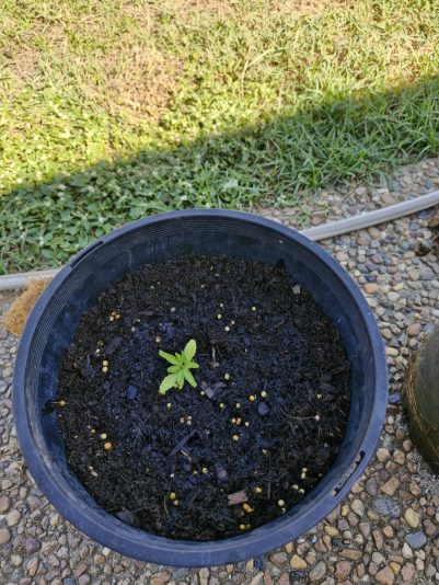 828cbb79-6cbd-4703-8946-43fd95f51373