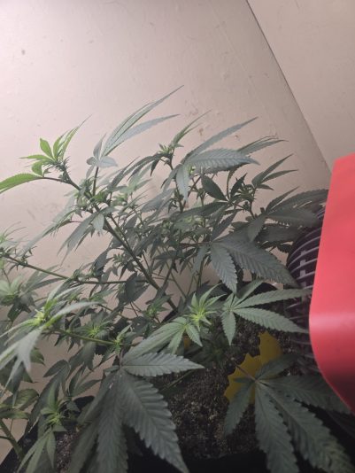 b85f0f04-7b8a-4b84-a88c-5c023824b3ac