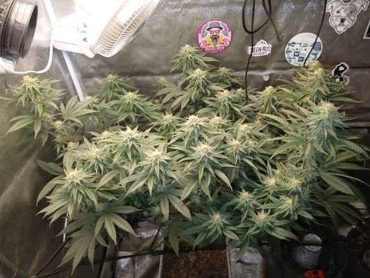 fbb48fc6-6996-4e1c-9993-95e4d61475dd