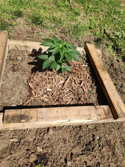 3d7bc6df-1eb8-4179-971a-aa6a95aac7f6