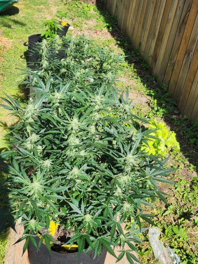 9cfafe4f-9341-4ad4-aaf5-fdbc1f47c984