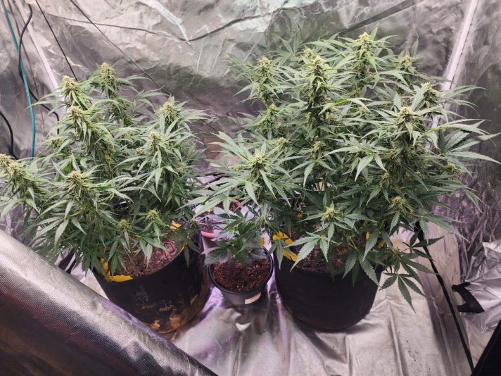 fc763174-744c-40ba-a4b7-f815ae31af8c