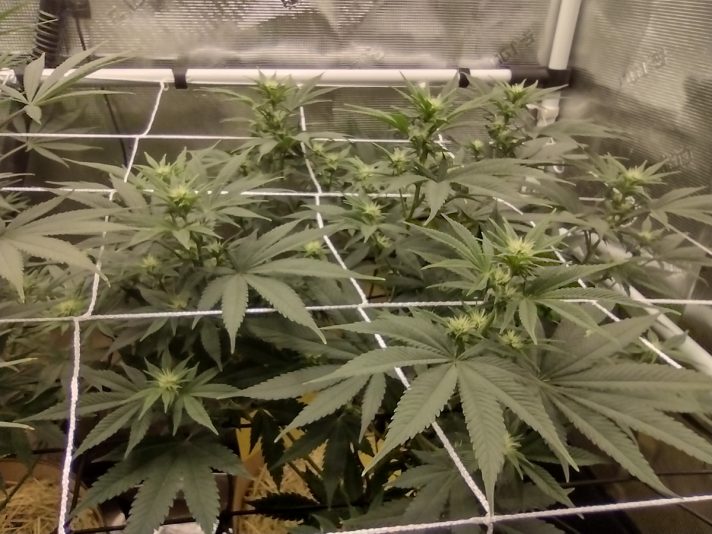 4edd8be9-efde-4f23-a2f8-45a23d89e359