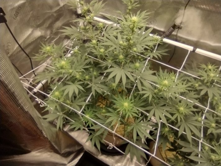 6b205931-8e0c-4fdd-a64f-ee08c6342555