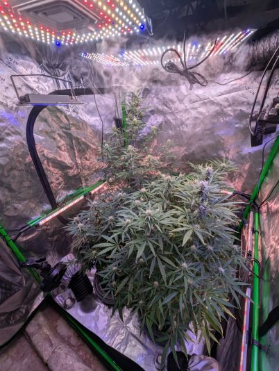 567f3dfd-3284-40fe-b705-69f9239de25d