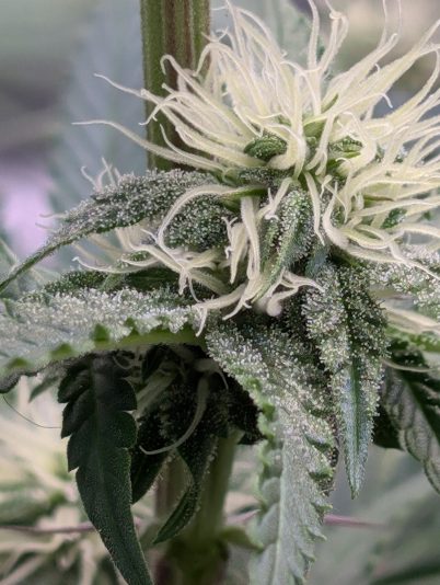 916c4f08-2b59-465e-97f8-eef72a8b7a7e