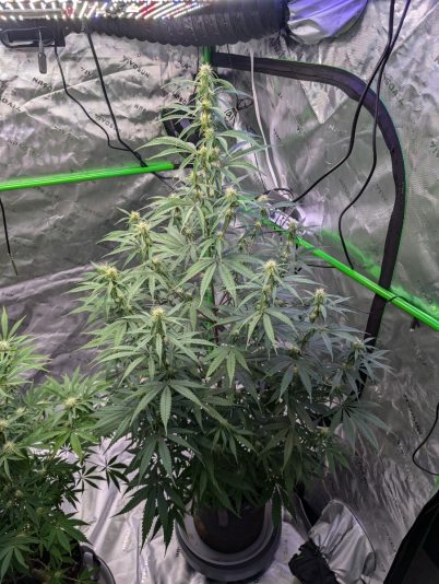 9a2b5910-d5e3-455e-8756-c12fca0b1bd8