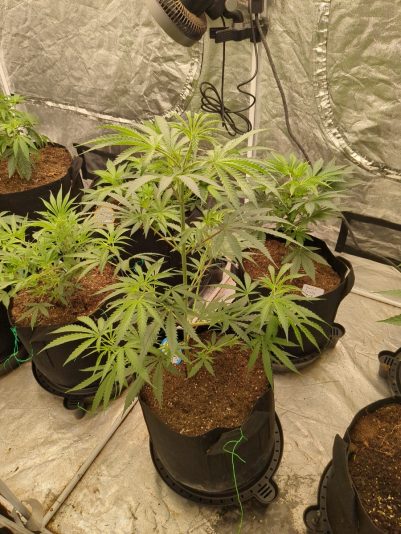 ec0d7628-e3d4-4e59-963c-5d447cd69b21