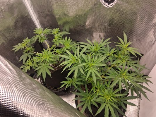 1d610da0-14ed-4d16-bbf2-33511a0d35c7