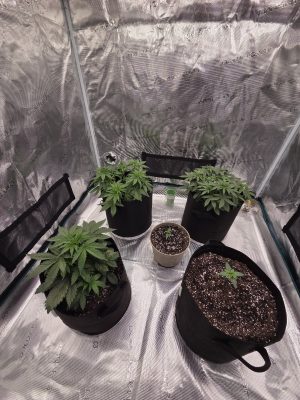 620ef409-8bcb-48b4-b234-7f7384c040b1