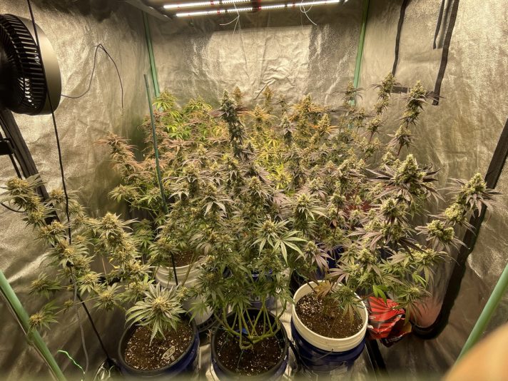 0979A240-DCB6-4B50-943D-1D72E93354E3