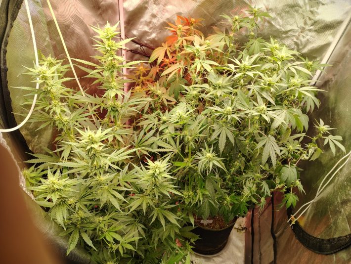 01091b82-3b0e-43d3-8d85-e3802ad6a322