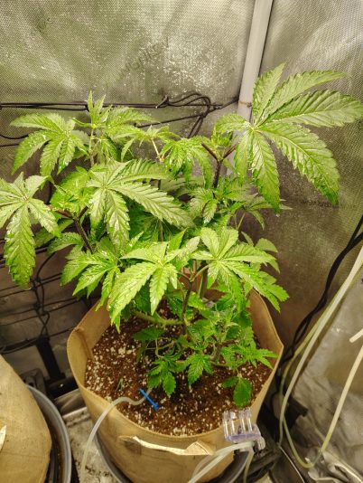 4e509a76-53f1-4ccc-ad0c-72fd491d7026