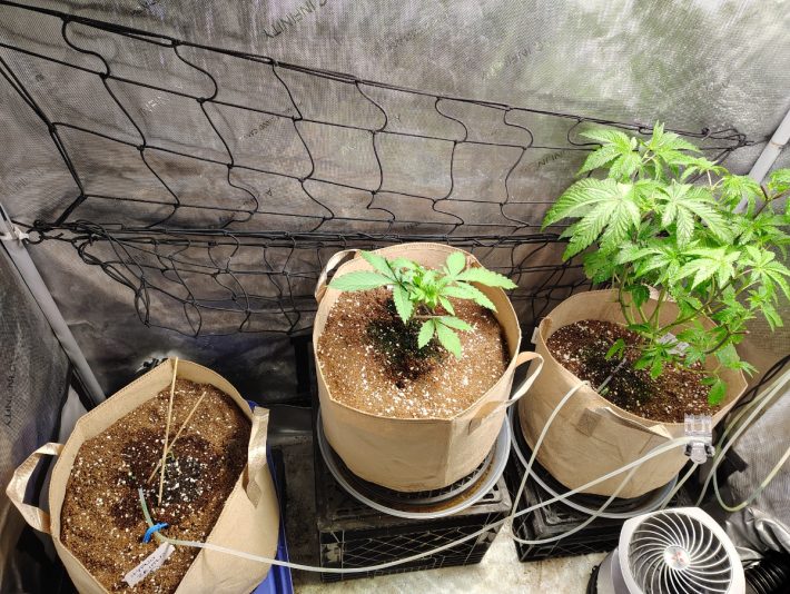 fa4b6562-7f46-4e69-b8fa-57d6138adea7