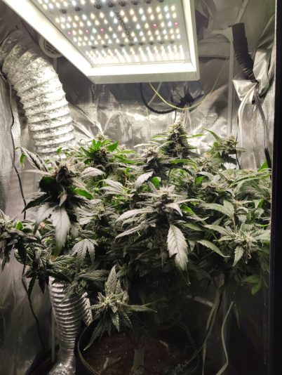 c200b4fd-4a68-4ce4-ac50-1ed95ced5ddd