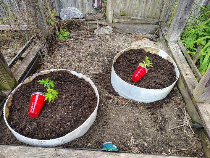 0682a88d-a19d-4517-b50b-36361a274175